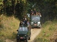 Chitwan Jeep Safari