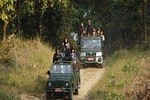 Chitwan Jeep Safari