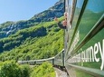 Private guided day tour Bergen to Oslo - incl Nærøyfjord Cruise and Flåm Railway
