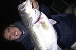 Guided Fishing Trip on Canyon Lake