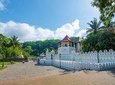 Trip to Ceylon with Kandy Culture Tours
