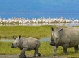 9 Days Africa Lodge Safari Holiday Package 