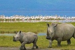 9 Days Africa Lodge Safari Holiday Package 
