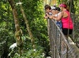Arenal volcano, hanging bridges and sloth encounter tour.