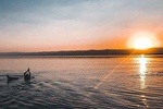 Airport to Dead Sea Transfer