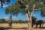16 Days Kenya Tanzania Uganda Safari
