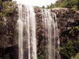 Tamarind falls/7 Cascades Half day Tour 