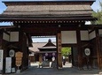 Takayama Old Town Walking Tour with Local Guide