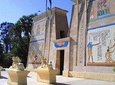 Day tour at The National Museum of Egyptian Civilization