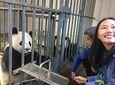 Panda keeper experience on Wolong Panda center 