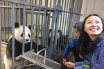 Panda keeper experience on Wolong Panda center 