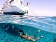 Catamaran excursions in the Asinara island National park