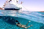 Catamaran excursions in the Asinara island National park
