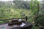 North Bali Tour (Jatiluwih)