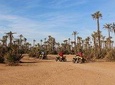 Quad biking tour in Marrakesh Half-Day