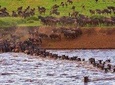 8 Days Masai Mara Wildebeest Migration Safari Adventures