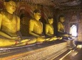 5 Day Private Tour Sri Lanka