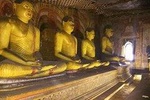 5 Day Private Tour Sri Lanka