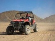 Dune Buggy Safari Trip