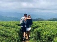 Hiking and Bird watching in Nuwara Eliya