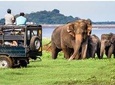 One day Yala National Park from Galle/Hikkaduwa/Mirissa/Unawatuna