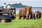 One day Yala National Park from Galle/Hikkaduwa/Mirissa/Unawatuna