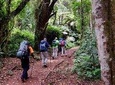 7 Days Mount kilimanjaro Hiking- Marangu Route 