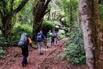 7 Days Mount kilimanjaro Hiking- Marangu Route 