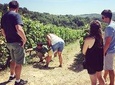 Chianti wine tour