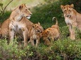 2 Days Theatre of The Wild Tsavo Experience
