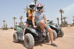 Combine Quad and Camel in the desert and palm grove of Marrakech