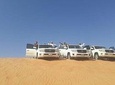 Private - Evening Desert Safari with Camel Ride, BBQ Dinner and Belly Dacne
