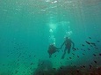 Baptism of diving in the Natural Park of the Strait