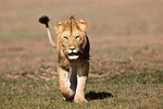 5 Days Budget Camping Kenya Safari