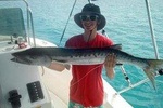 Full day 7hours- beach bbq, snorkel, Iguana island, half moon bay pine cay, Fun!