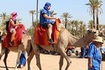 1 Hour CAMELS RIDE palmeraie (casa road ) min 2 pers-Private