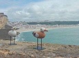 Nazare, Peniche & Berlengas