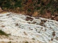 Private Tour to Moray and Maras Salt Mines.