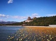 Summer Palace Tickets Booking