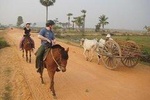 Siem Reap Happy Horse Riding