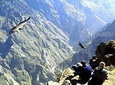 Tour Colca Full Day Promotional Price