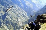 Tour Colca Full Day Promotional Price