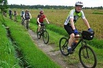 Village Cycling And Beauty of Paddy Field 