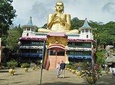 Day Tour to Dambulla & Sigiriya