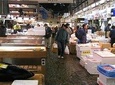 Tokyo Custom Half Day Tour