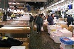 Tokyo Custom Half Day Tour
