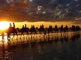 Sunset Camel Ride in Agadir