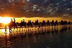 Sunset Camel Ride in Agadir