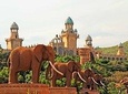 Pilanesberg and Sun City Tour 