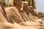 Day Tour From Marsa Alam To Luxor Private Tour